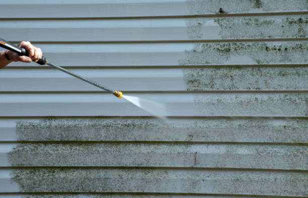 Best Roof Power Washing Services  in Sumas, WA