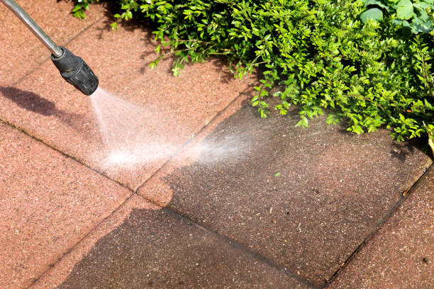 Best Residential Pressure Washing Services  in Sumas, WA