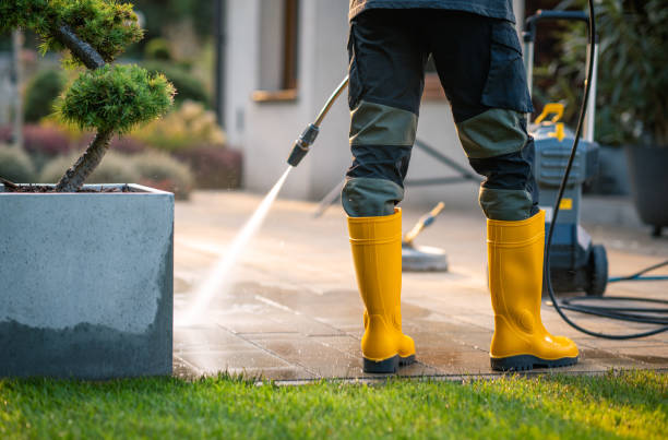 Best Roof Power Washing Services  in Sumas, WA